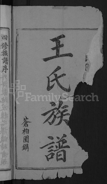 湖南王氏族谱-何家埠王氏族谱 [25卷,含首卷].pdf电子版插图2