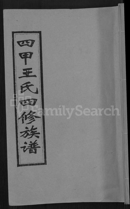 湖南王氏族谱-四甲王氏四修族谱 [15卷,首尾各1卷].pdf电子版