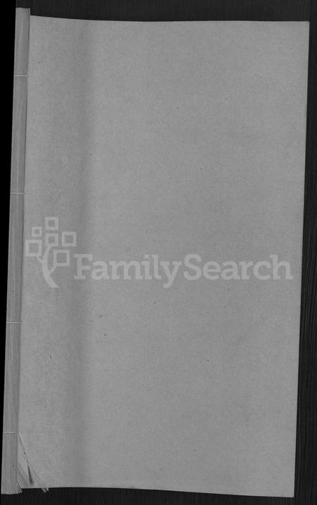 湖南王氏族谱-四甲王氏四修族谱 [15卷,首尾各1卷].pdf电子版插图1