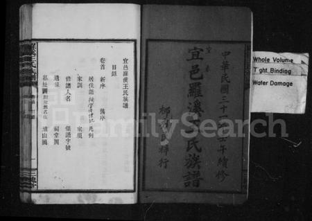 湖南王氏族谱-宜邑罗溪王氏族谱 [10卷,首末各1卷].pdf电子版插图4