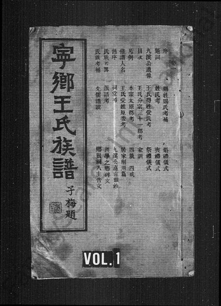 湖南王氏族谱-宁乡王氏族谱 [12卷].pdf电子版插图1