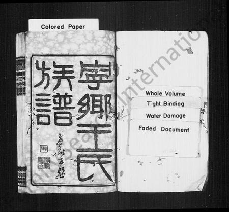 湖南王氏族谱-宁乡王氏族谱 [12卷].pdf电子版插图2