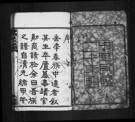 湖南王氏族谱-宁乡王氏族谱 [12卷].pdf电子版插图4