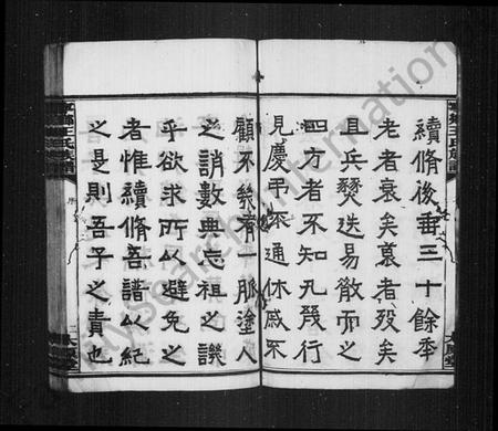 湖南王氏族谱-宁乡王氏族谱 [12卷].pdf电子版插图5