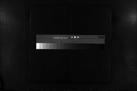 江西李氏族谱-李氏宗谱.pdf电子版