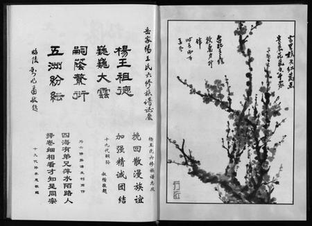 湖南王氏族谱-杨王氏六修族谱 [不分卷].pdf电子版插图4