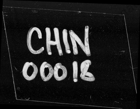 湖南王氏族谱-楚南沩宁东湖王氏五修族谱 [18部].pdf电子版插图4