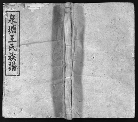 湖南王氏族谱-泉塘王氏族谱 [15卷,首1卷].pdf电子版插图1