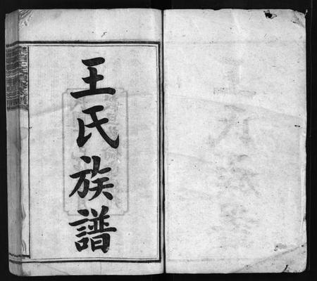 湖南王氏族谱-泉塘王氏族谱 [15卷,首1卷].pdf电子版插图2