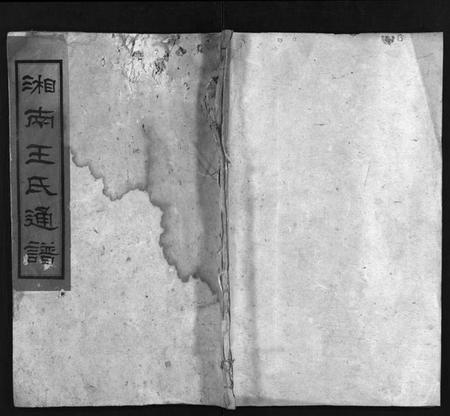 湖南王氏族谱-湘南王氏通谱 [19卷,首1卷].pdf电子版插图1