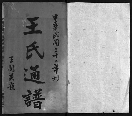 湖南王氏族谱-湘南王氏通谱 [19卷,首1卷].pdf电子版插图2