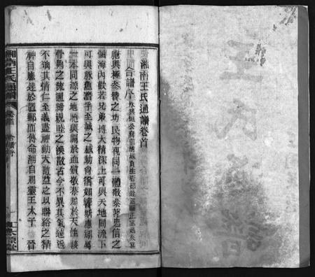 湖南王氏族谱-湘南王氏通谱 [19卷,首1卷].pdf电子版插图3