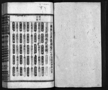 湖南王氏族谱-湘南王氏通谱 [40卷].pdf电子版插图2