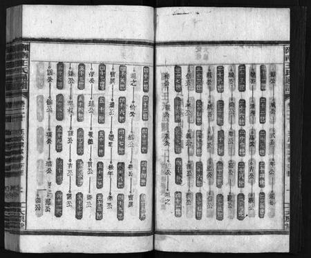 湖南王氏族谱-湘南王氏通谱 [40卷].pdf电子版插图3