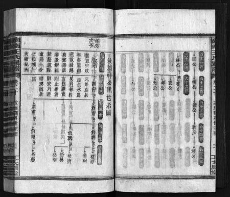 湖南王氏族谱-湘南王氏通谱 [40卷].pdf电子版插图4