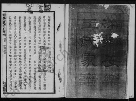 湖南王氏族谱-湘乡安乐王氏八修谱.pdf电子版插图5