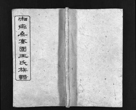 湖南王氏族谱-湘乡桑枣园王氏族谱 [20卷].pdf电子版插图1