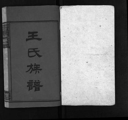 湖南王氏族谱-湘乡桑枣园王氏族谱 [20卷].pdf电子版插图2