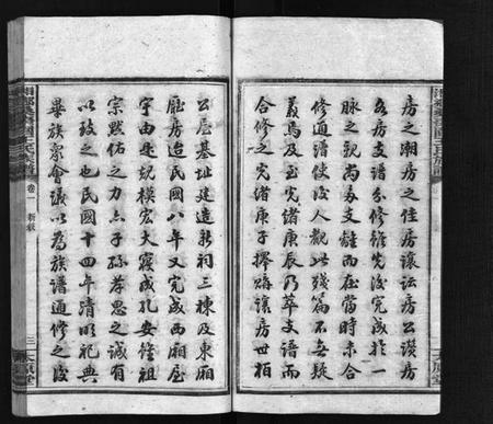 湖南王氏族谱-湘乡桑枣园王氏族谱 [20卷].pdf电子版插图5