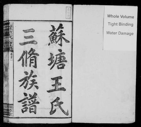 湖南王氏族谱-湘乡苏塘王氏三修族谱 [30卷,首5卷].pdf电子版插图2