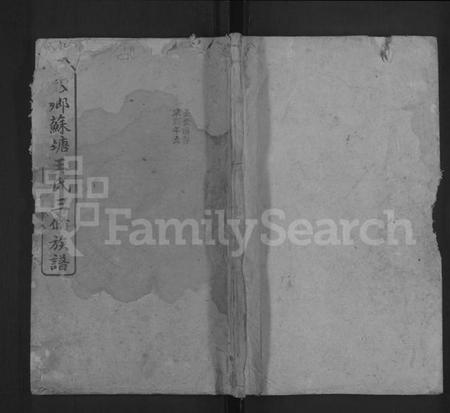 湖南王氏族谱-湘乡苏塘王氏三修族谱 [30卷,首5卷].pdf电子版