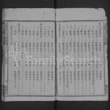 湖南王氏族谱-湘乡苏塘王氏三修族谱 [30卷,首5卷].pdf电子版插图5