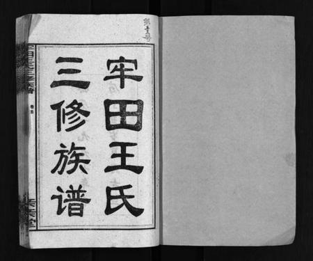 湖南王氏族谱-牢田王氏三修族谱 [39卷,首末各1卷].pdf电子版插图2