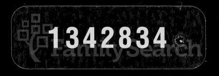 湖南王氏族谱-王氏七修族谱 [22卷].pdf电子版