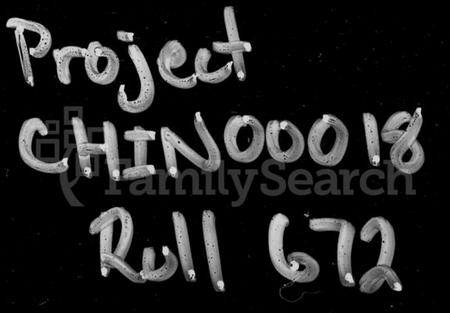 湖南王氏族谱-王氏七修族谱 [22卷].pdf电子版插图4