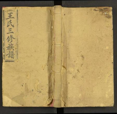 湖南王氏族谱-王氏三修族谱 [27卷,首3卷].pdf电子版