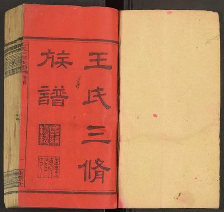 湖南王氏族谱-王氏三修族谱 [27卷,首3卷].pdf电子版插图1