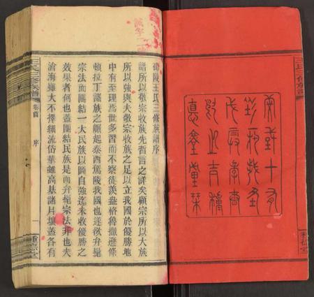 湖南王氏族谱-王氏三修族谱 [27卷,首3卷].pdf电子版插图2