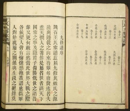 湖南王氏族谱-王氏九修家谱[19卷,首中末各1卷].pdf电子版插图4