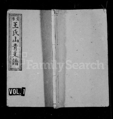 湖南王氏族谱-王氏九修支谱 [15卷,首末各2卷].pdf电子版插图1