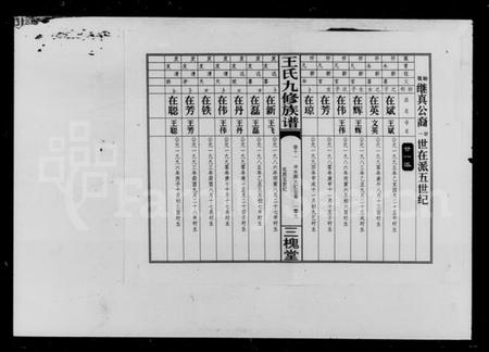 湖南王氏族谱-王氏九修族谱 [45卷,首2卷].pdf电子版插图5