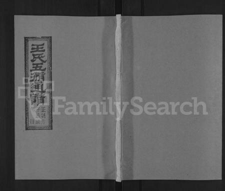 湖南王氏族谱-王氏五修通谱 [不分卷,首4卷].pdf电子版