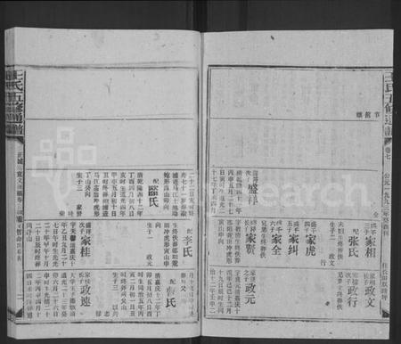 湖南王氏族谱-王氏五修通谱 [不分卷,首4卷].pdf电子版插图2