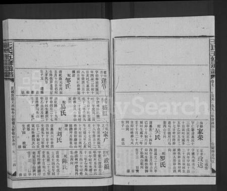 湖南王氏族谱-王氏五修通谱 [不分卷,首4卷].pdf电子版插图4