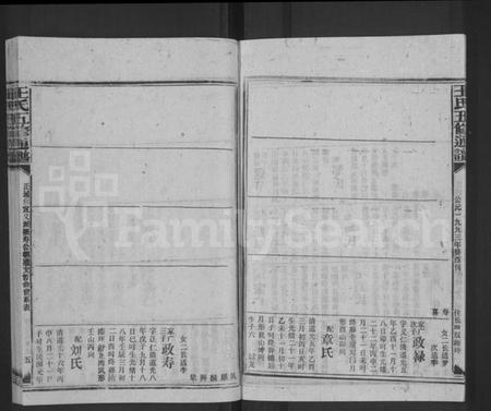 湖南王氏族谱-王氏五修通谱 [不分卷,首4卷].pdf电子版插图5