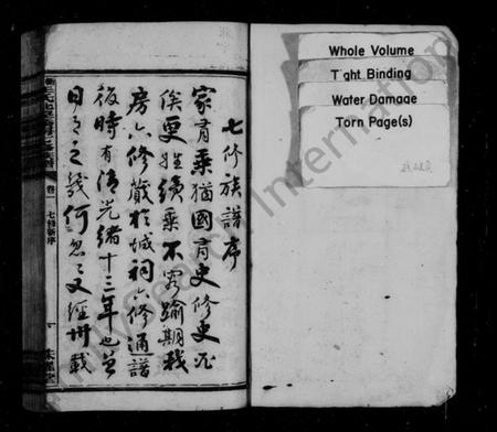 湖南王氏族谱-王氏北望桥房七修谱 [6卷].pdf电子版插图2