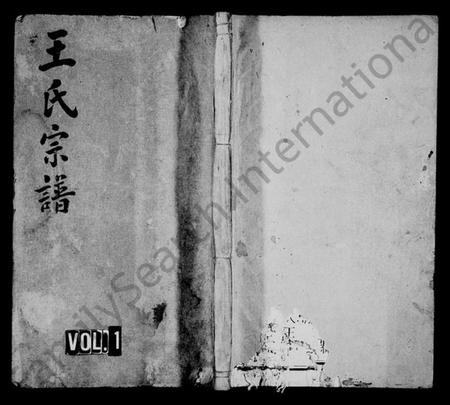 湖南王氏族谱-王氏四修宗谱 [21卷,含卷首].pdf电子版插图1