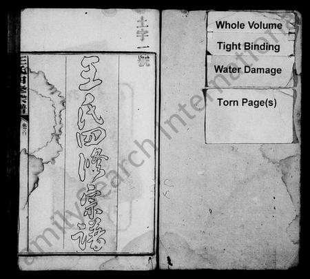 湖南王氏族谱-王氏四修宗谱 [21卷,含卷首].pdf电子版插图2