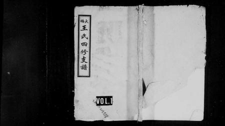 湖南王氏族谱-王氏四修支谱 [12卷].pdf电子版