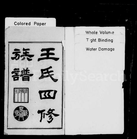 湖南王氏族谱-王氏四修族谱 [12卷,首末各1卷].pdf电子版插图2