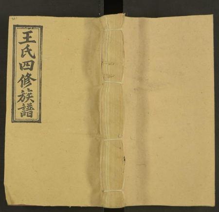 湖南王氏族谱-王氏四修族谱 [53卷,首3卷].pdf电子版