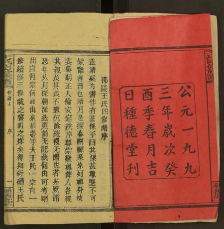湖南王氏族谱-王氏四修族谱 [53卷,首3卷].pdf电子版插图2