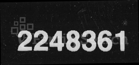 湖南王氏族谱-王氏家谱 [不分卷].pdf电子版