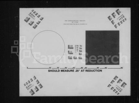 湖南王氏族谱-王氏家谱 [不分卷].pdf电子版插图2