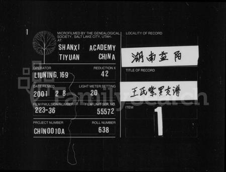 湖南王氏族谱-王氏家谱 [不分卷].pdf电子版插图3