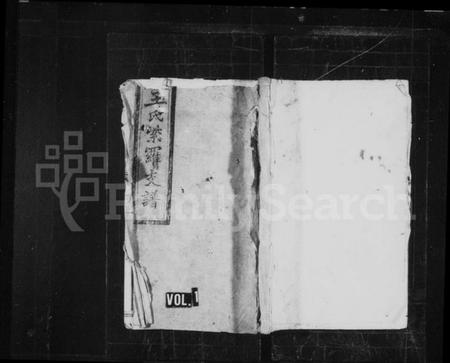 湖南王氏族谱-王氏家谱 [不分卷].pdf电子版插图4